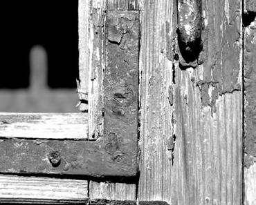 Fotografie | SchwarzWeissBlick No 15