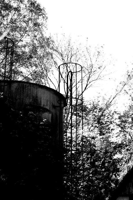 Blog + Fotografie by it's me! | fim.works | SchwarzWeissBlick No 15 | verlassenes Gehöft | Lost Place | zugewucherter Silo