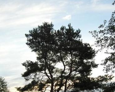 30. Mai 2016 – 20:31