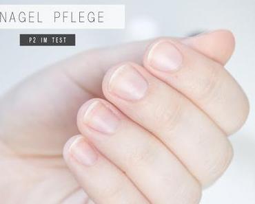 P2 PERFECT NAIL HARDENER [TEST]