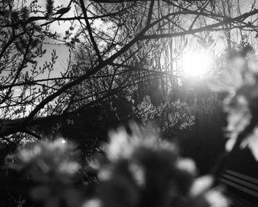 Die Welt ist schwarz und weiß