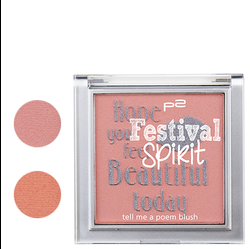 dm  -  p2 Limited Edition: Festival Spirit