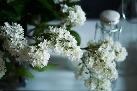 Blog + Fotografie by it's me! | fim.works | weißer Flieder