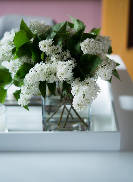 Blog + Fotografie by it's me! | fim.works | weißer Flieder auf einem weißen Tablett