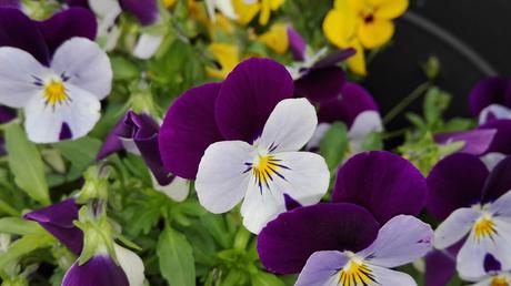 IMG_20160527_121734k