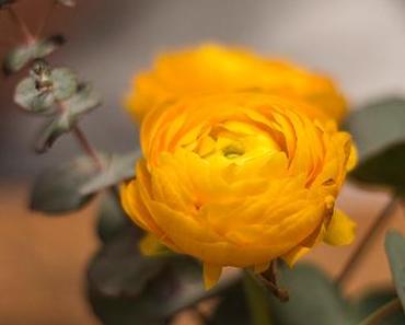 Trip to Barcelona - Part II