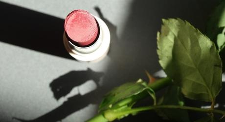 alverde Nude Plum Lipstick (Natural Brightness LE)