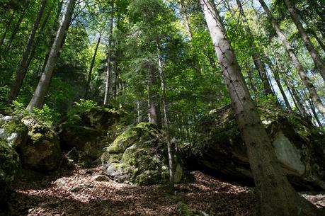 Wander- und Wasserwelt Myrafälle