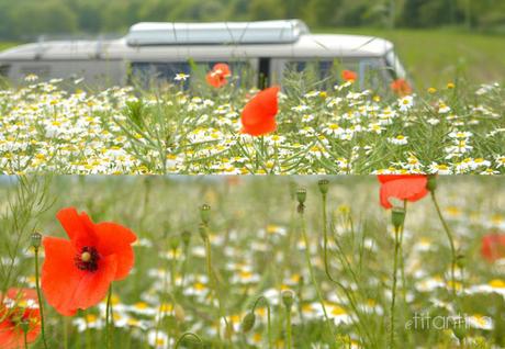 Autospaß für unterwegs - titantinas Lesetipp