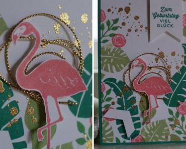 Da ist er - der Flamingo