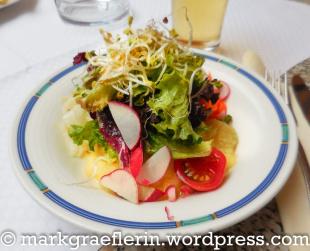 Vorspeise: Salat / Starter Salad