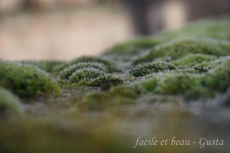 Cam Underfoot #23: Stadtmauer