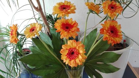 IMG_20160608_190129k