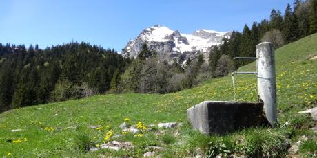 unser Mehrfach-Frühling unser Mehrfach-Frühling