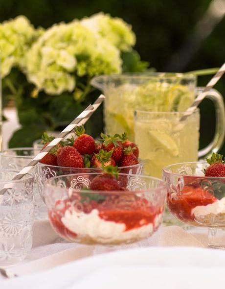 Sommerlicher Mädelsabend mit Hugo-Bowle und Erdbeer-Holunderblüten-Dessert