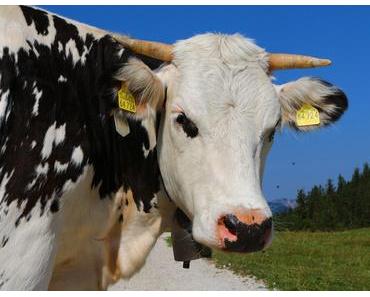 Die Sache mit der Milch