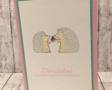 Igel-Liebe