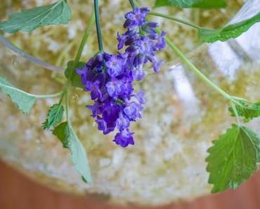 Holunder-Zitronenmelisse-Sirup