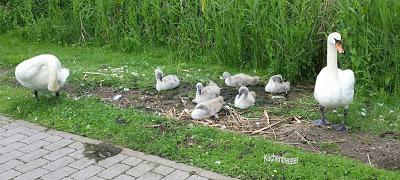 Kurztripp an die Müritz