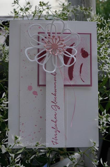 Zarte Pflaume - die Zweite Zarte Pflaume - die Zweite