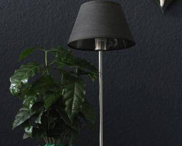 Pfelegeleichte Pflanzen, die jede Wohnung upgraden