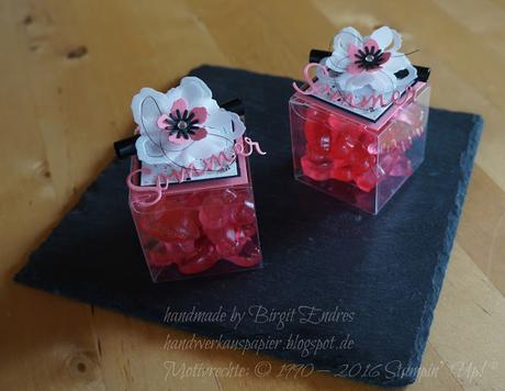 Flamingos, Ananas & Co.........