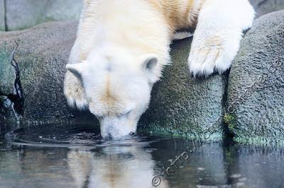 Cinny in Hamburg - Teil 2