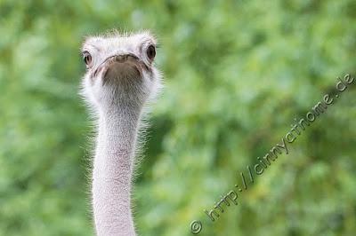 Cinny in Hamburg - Teil 2