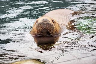Cinny in Hamburg - Teil 2