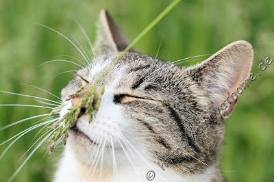 Cinny in Hamburg - Teil 2