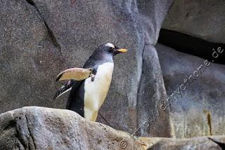 Cinny in Hamburg - Teil 2