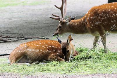 Cinny in Hamburg - Teil 2