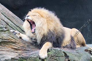 Cinny in Hamburg - Teil 2