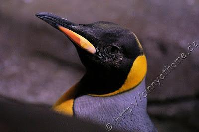 Cinny in Hamburg - Teil 2