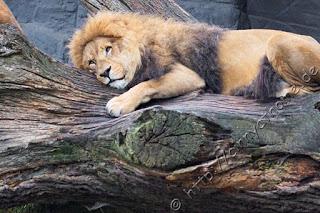 Cinny in Hamburg - Teil 2