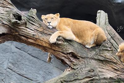 Cinny in Hamburg - Teil 2