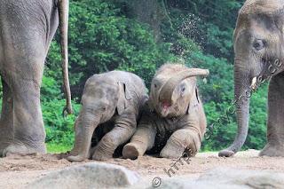 Cinny in Hamburg - Teil 2