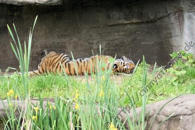Cinny in Hamburg - Teil 2