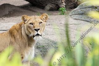 Cinny in Hamburg - Teil 2