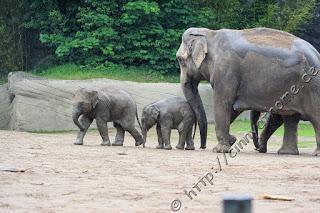 Cinny in Hamburg - Teil 2