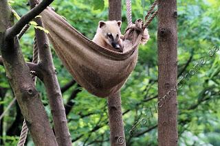 Cinny in Hamburg - Teil 2
