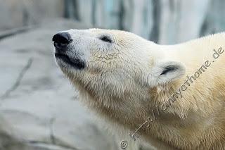 Cinny in Hamburg - Teil 2