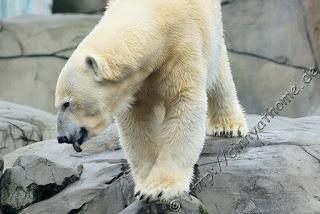 Cinny in Hamburg - Teil 2