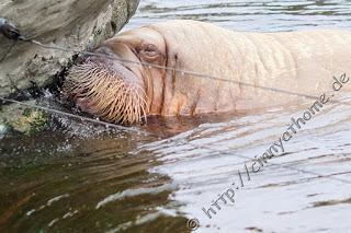 Cinny in Hamburg - Teil 2