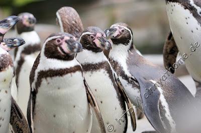 Cinny in Hamburg - Teil 2