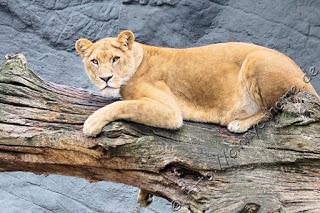 Cinny in Hamburg - Teil 2