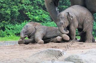 Cinny in Hamburg - Teil 2