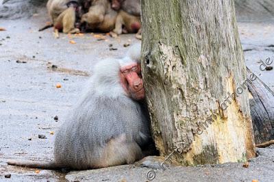Cinny in Hamburg - Teil 2