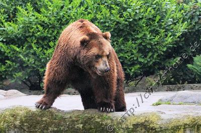 Cinny in Hamburg - Teil 2