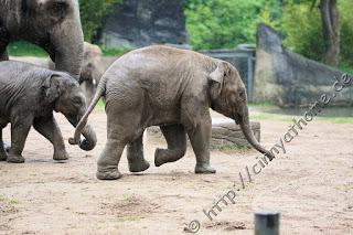 Cinny in Hamburg - Teil 2